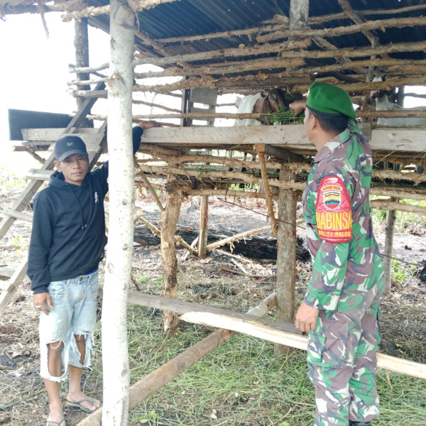 Sertu Samsuddin Siregar Edukasi Peternak Dumai Timur Cegah PMK