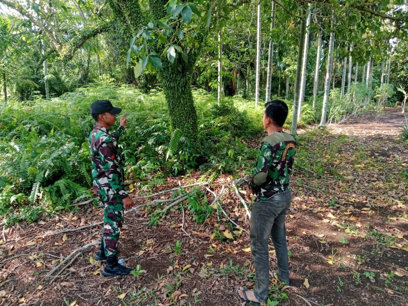 Babinsa Koramil 06/Merbau Pastikan Lahan Gambut Bebas Api