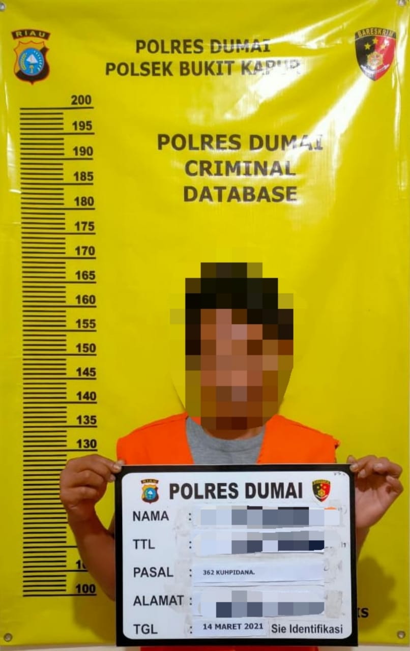 Polsek Bukit Kapur Amankan Seorang Pelaku Curanmor Kurang Dari 24 Jam