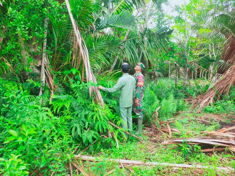 Koramil 06/Merbau Perkuat Pengawasan Wilayah Rawan Karhutla