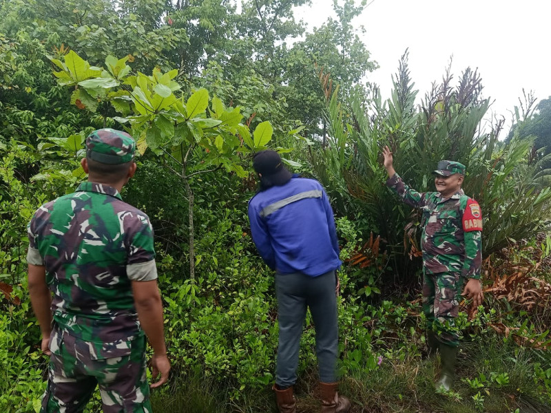 Semangat Babinsa Koramil 06 Dalam Mencegah Karhutla Dengan Berpatroli dan Sampaikan Sosialisasi