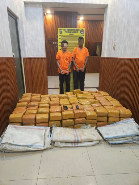 Timsus Ditresnarkoba Polda Sumut Gagalkan Peredaran 255 Kg Ganja Asal Aceh, Dua Kurir Ditangkap