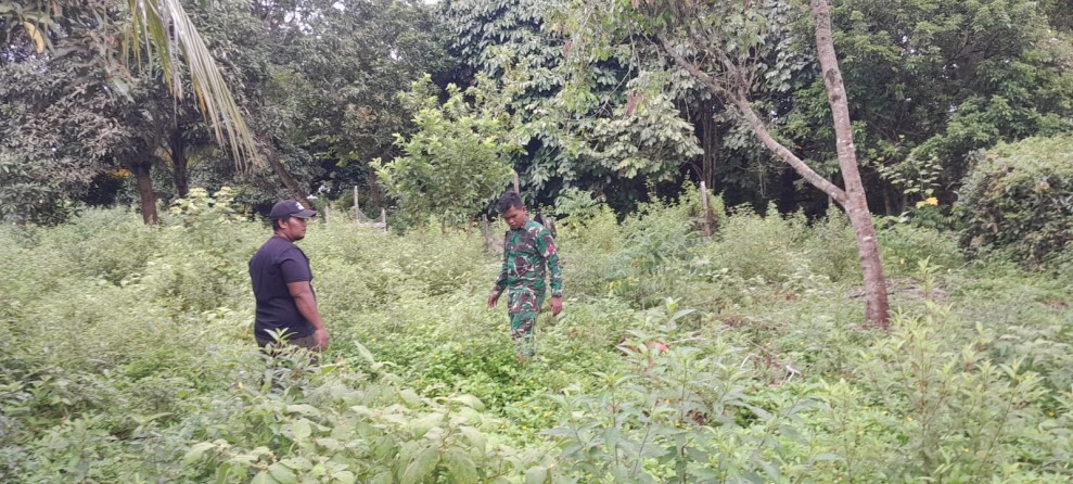 Wilayah Rawan Karhutla Desa Selat Akar Dipantau Babinsa
