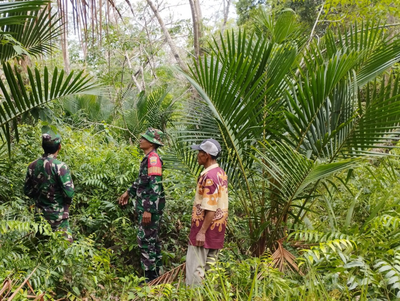 Babinsa Himbau Warga Desa Teluk Ketapang Tidak Bakar Lahan