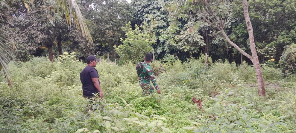 Patroli Berkelanjutan, Pratu Roihan Tegaskan Larangan Bakar Lahan