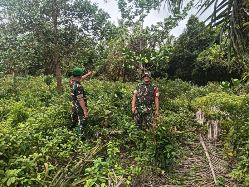Patroli Karhutla, Babinsa Ingatkan Warga Bahaya Buka Lahan dengan Membakar