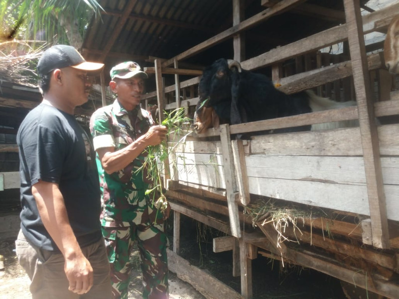 Sosialisasi Cegah PMK Oleh Babinsa Sertu Nono