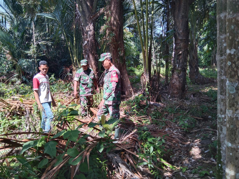 Patroli Rutin Babinsa Koramil 06/Merbau Fokus Cegah Pembakaran Lahan di Desa Kudap