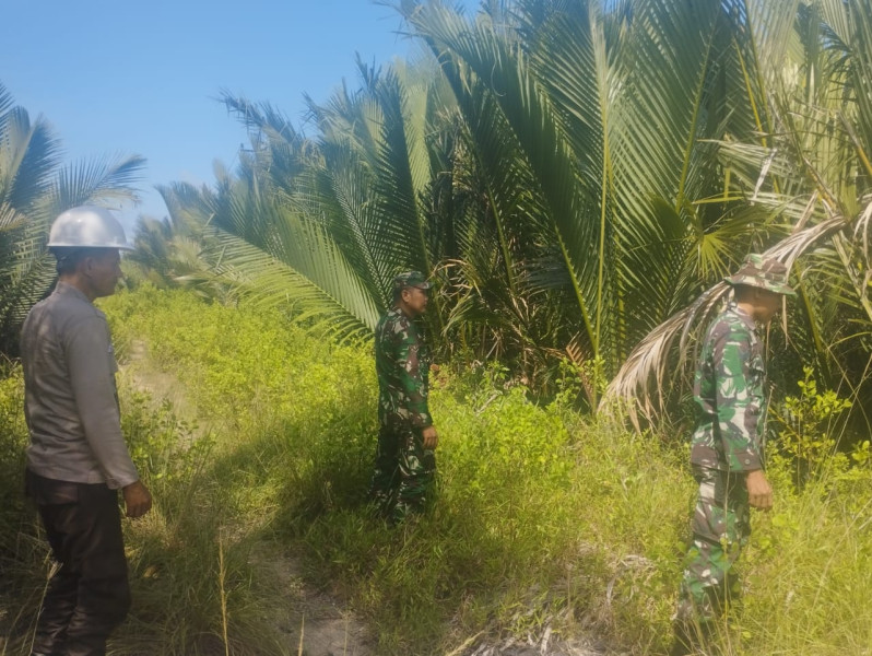 Serma Eri dan Serda A. Purba Antisipasi Kebakaran Hutan di Teluk Ketapang