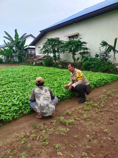 Cek Kebun Bayam Warga, Bhabinkamtibmas Purnama Pastikan Program Ketahanan Pangan Berjalan Optimal
