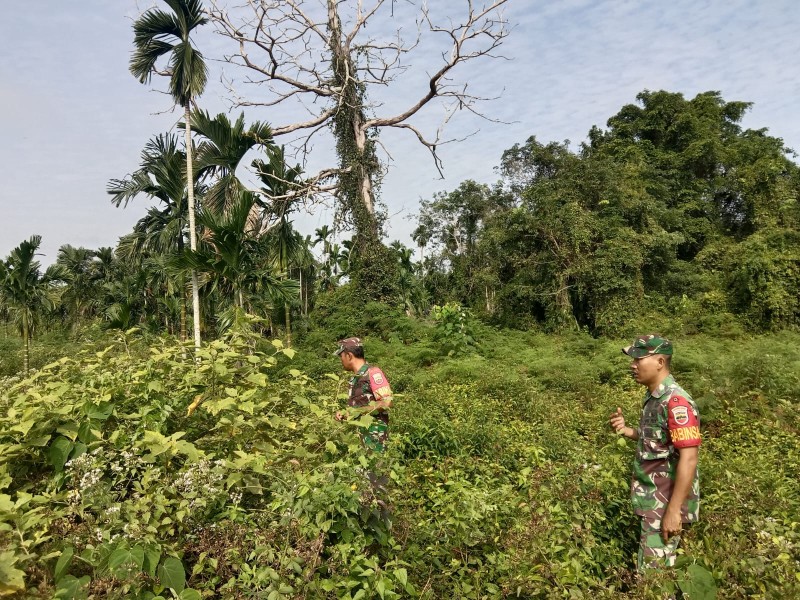 Cegah Karhutla, Babinsa Koramil 06/Merbau Ajak Warga Jaga Kelestarian Lingkungan