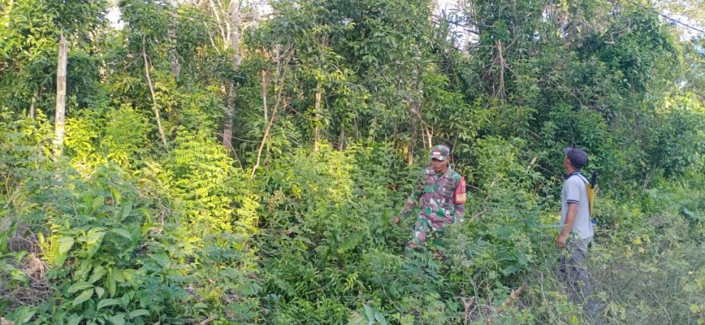 Patroli Karhutla Babinsa di Desa Lukit Perkuat Kesiapsiagaan Hadapi Musim Panas