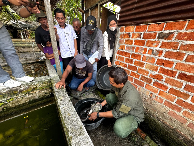 Tingkatkan Kapasitas Kelompok Binaan, PT KPI RU Dumai Adakan Pelatihan Pemijahan Ikan