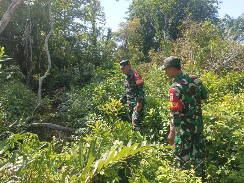 Patroli Rutin, Upaya Babinsa Koramil 06/Merbau Cegah Kebakaran Hutan dan Lahan