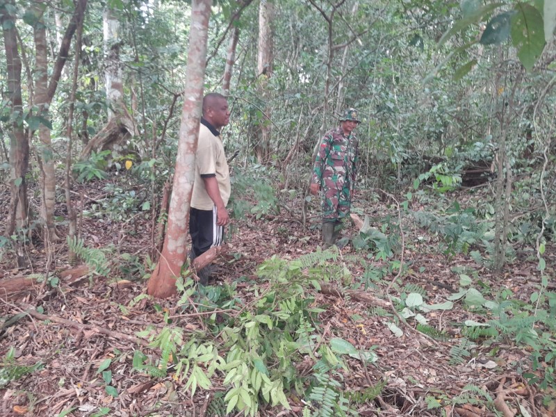 Babinsa Hutagalung Lakukan Patroli Rutin, Pastikan Wilayah Aman dari Karhutla