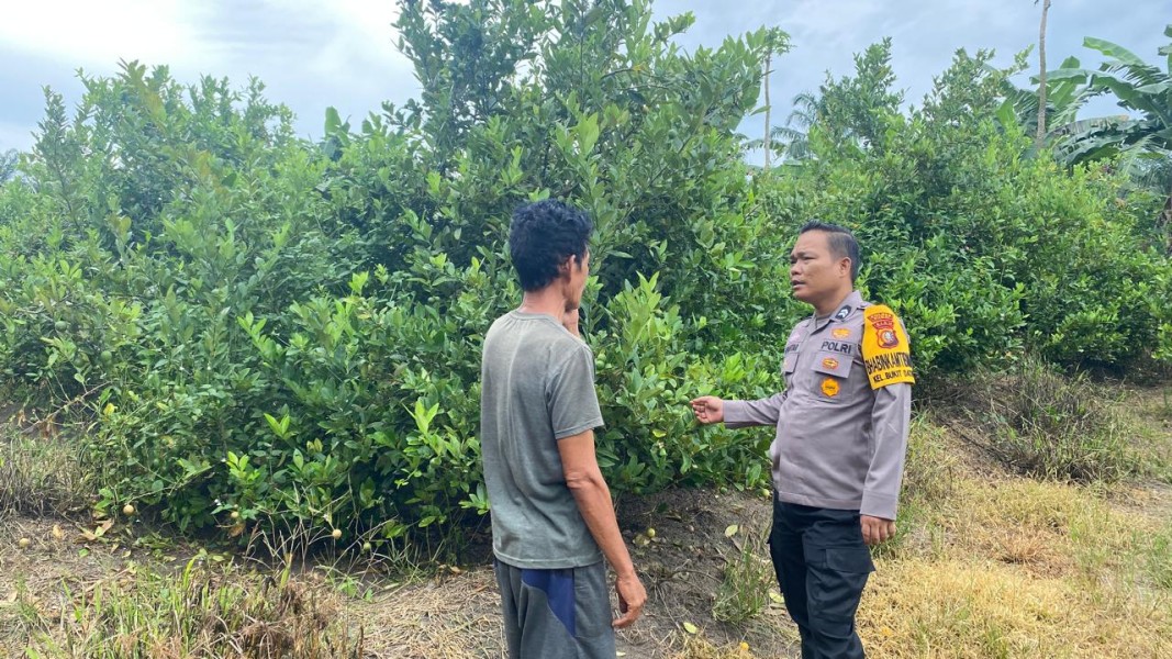 Polisi Sahabat Petani, Program Ketahanan Pangan di Bukit Datuk Tumbuh Subur dan Produktif