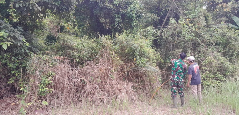 Babinsa Tegaskan Membakar Lahan Bisa Dipidana, Warga Diminta Waspada