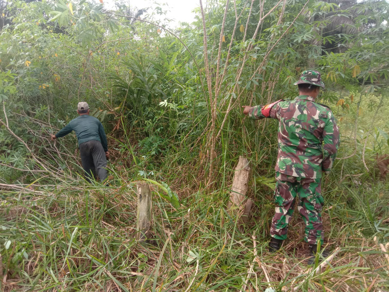 Babinsa Pangkalan Sesai Patroli Karhutla Rutin Dilakukan Demi Melindungi Hutan dan Lahan