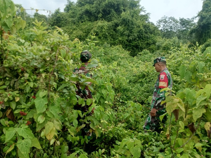 Patroli dan Sosialisasi Babinsa Dorong Masyarakat Cegah Karhutla di Pulau Merbau