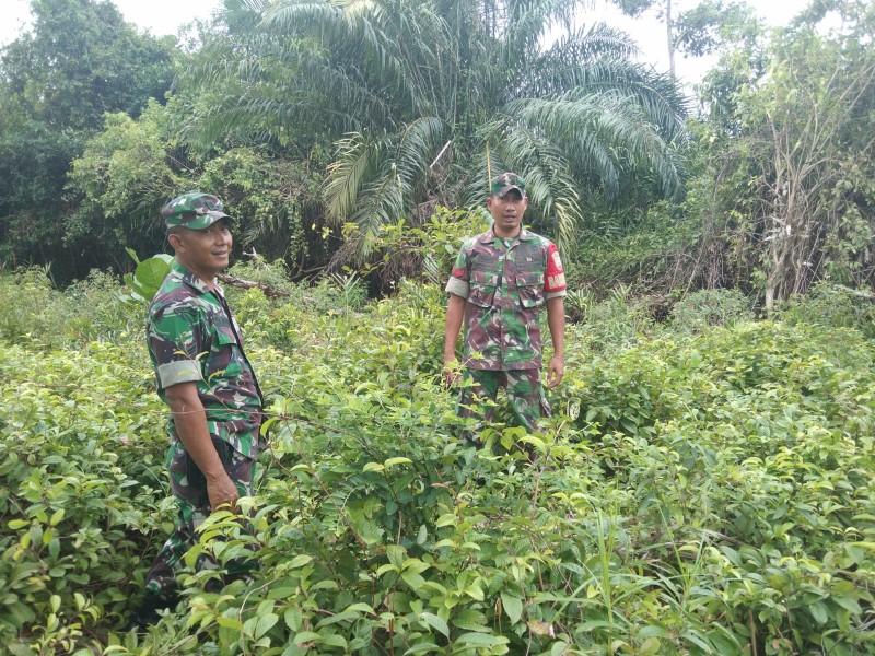 Babinsa Beri Sosialisasi Bahaya Karhutla ke Warga Desa Tanjung Padang