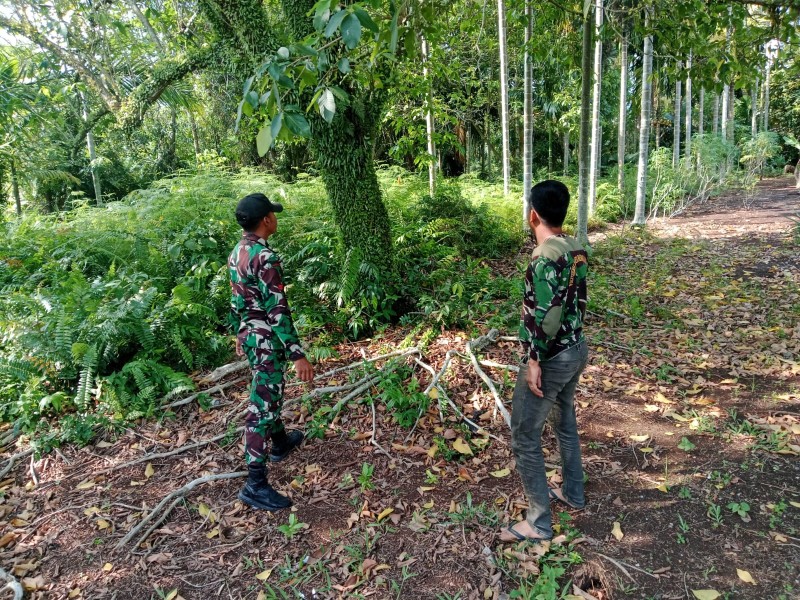 Patroli Rutin Karhutla di Tasik Putri Puyu, Babinsa Pastikan Wilayah Aman