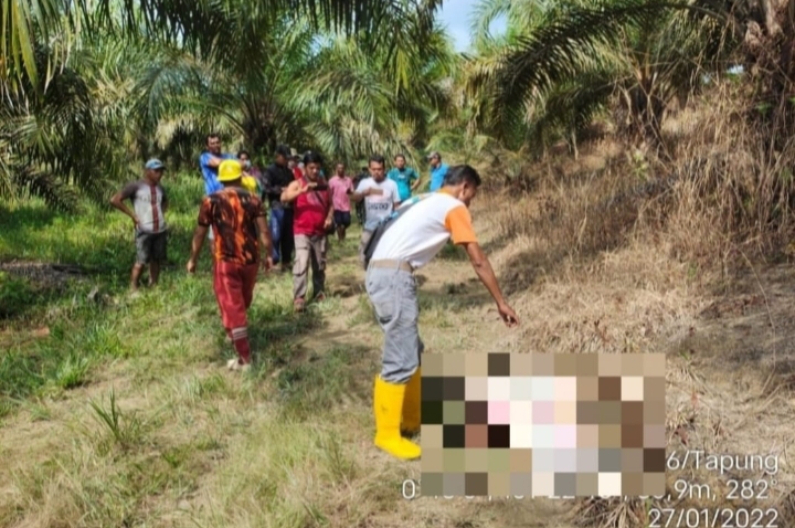 Tragis..!! Seorang Warga Desa Kota Garo Ditemukan Tewas Mengenaskan Diduga Diamuk Gajah Liar