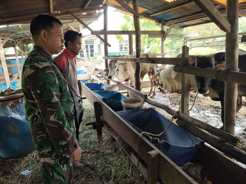 Mengedepankan Tindakan Nyata, Sertu Sutarno Datangi Peternakan Warga