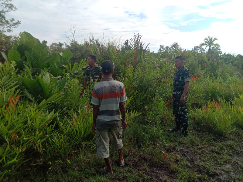 Giat Antisipasi Karhutla Terus Dilakukan Oleh Babinsa Koramil 06 Merbau