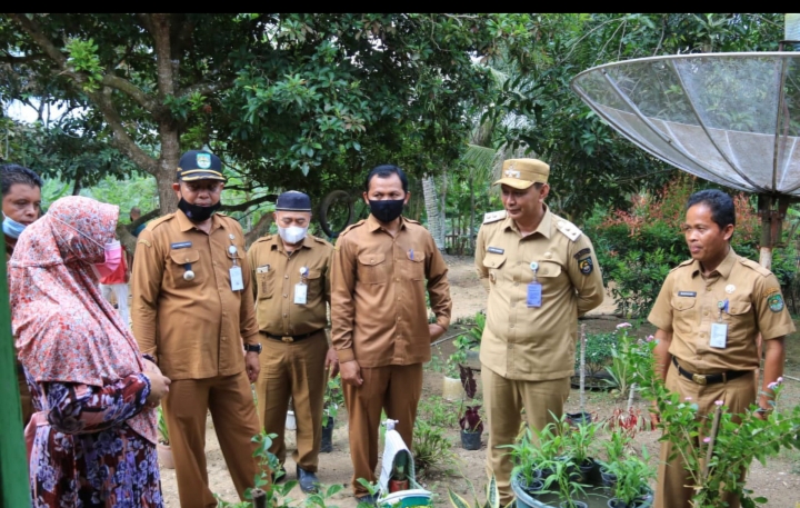 Jelang Lomba Hatinya PKK Tingkat Provinsi, Wabup Rokan Hulu Tinjau Persiapan di Desa Kumain