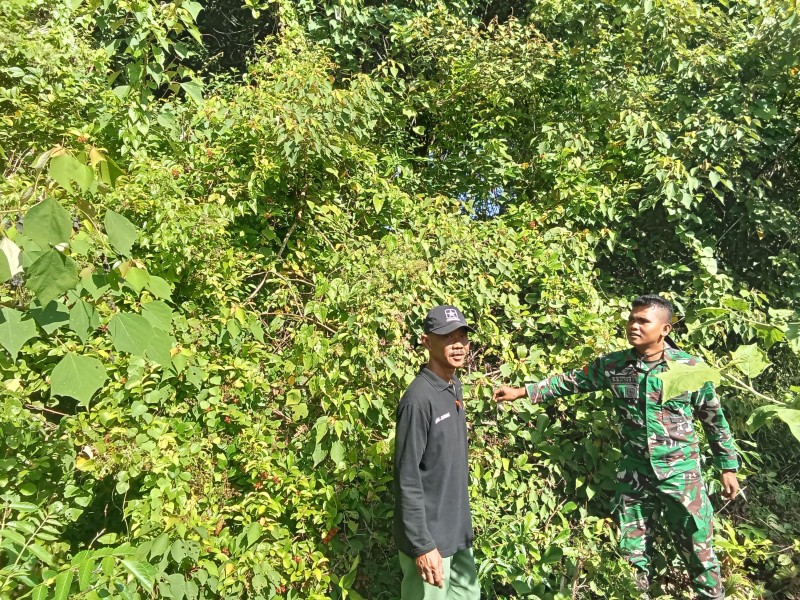 Kesiapsiagaan Warga Mengkirau Didorong Lewat Patroli Babinsa