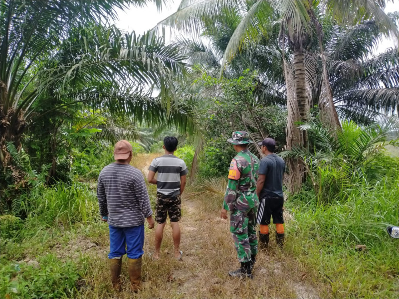 Jaga Lingkungan, Babinsa Sungai Sembilan Himbau Warga Tidak Membakar Lahan