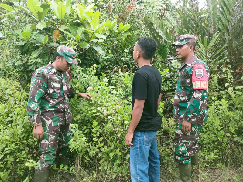 Patroli Babinsa di Tasik Putri Puyu, Cegah Karhutla, Selamatkan Lingkungan