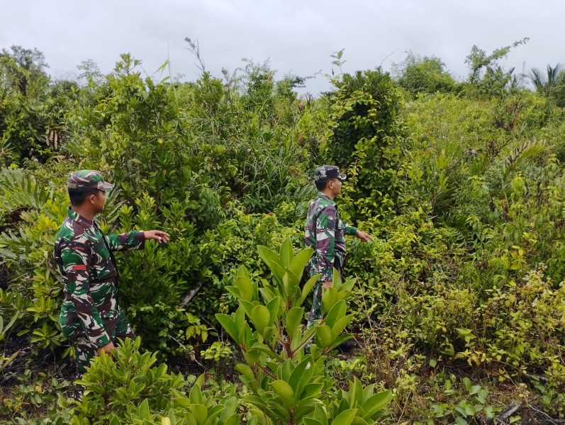 Masyarakat Dihimbau Tak Bakar Lahan, Babinsa Intensifkan Patroli di Pulau Merbau