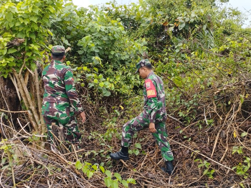 Cegah Karhutla, Babinsa Koramil 06/Merbau Intensifkan Pengawasan di Lahan Gambut