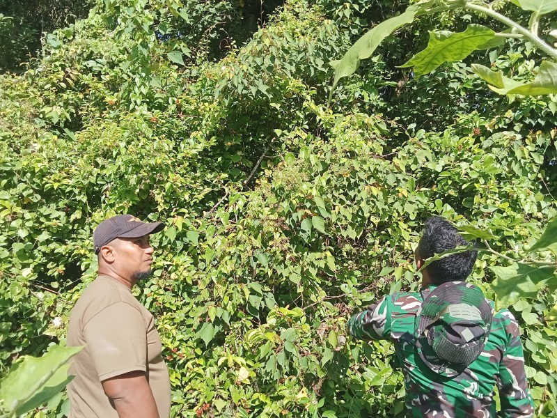 Masyarakat Disosialisasikan Larangan Membakar, Babinsa Tegaskan Pentingnya Kewaspadaan