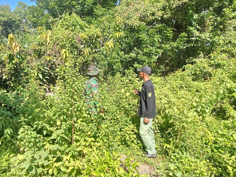 Babinsa Merbau Gerakkan Warga: Patroli Karhutla Tak Boleh Kendor