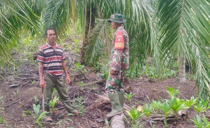 Sosialisasi Larangan Bakar Lahan Digencarkan, Babinsa Sasar Warga Desa Lukit