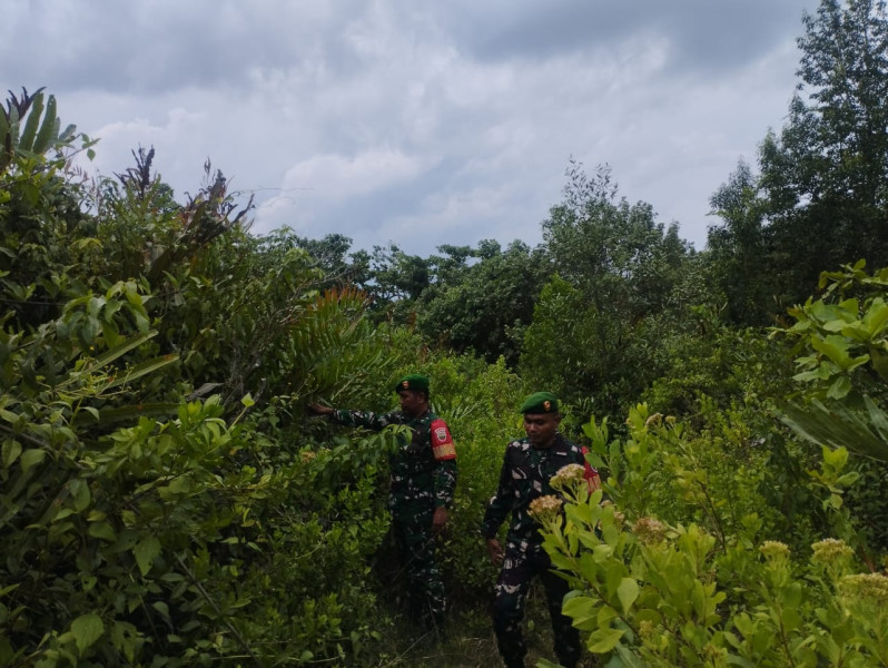 Babinsa Koramil 06/Merbau Rutin Patroli Cegah Karhutla