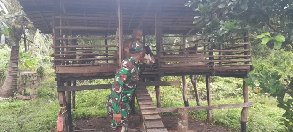 Cegah Penyebaran PMK, Babinsa Koramil 06/Merbau Pantau Kesehatan Ternak Kambing