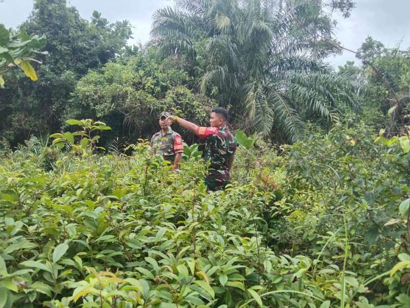 Patroli Rutin Babinsa di Desa Dedap Fokus Cegah Kebakaran Hutan dan Lahan