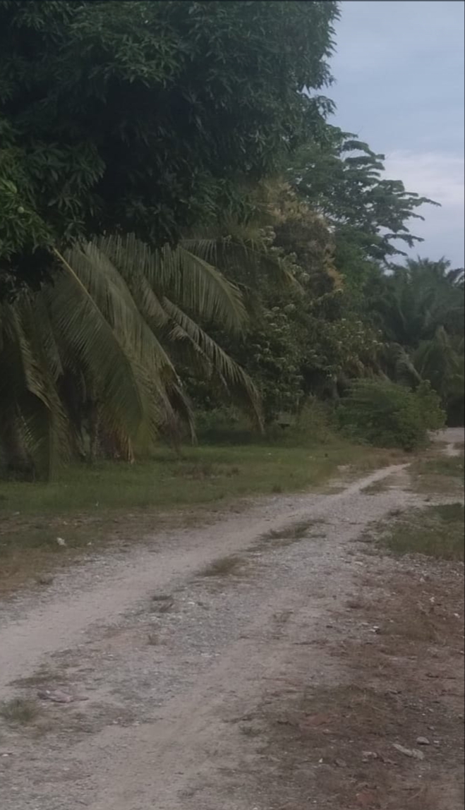 Gempa Pasaman Barat Di Tengah Kehidupan Rakyat Makin Sulit