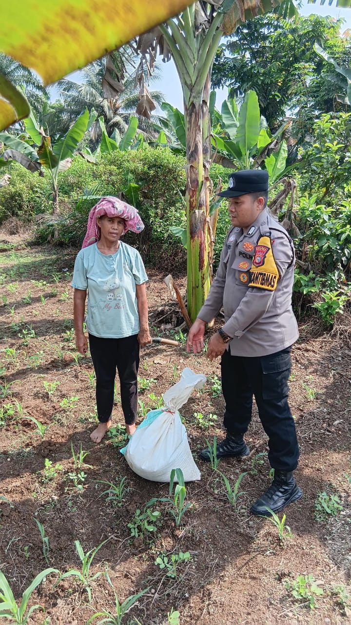 Polsek Tandun Dampingi Petani di Tandun Barat, Dorong Swasembada Pangan Nasional