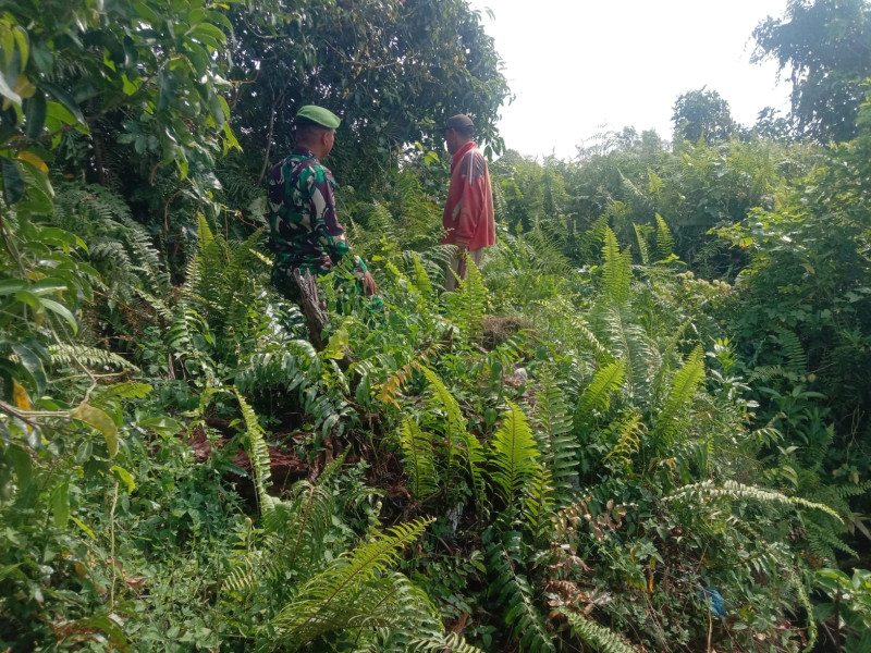 Babinsa Serda Priyo Sudarmo Pimpin Patroli Karhutla di Bagan Keladi