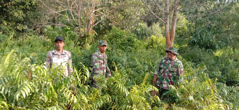 Patroli Rutin Babinsa di Desa Putri Puyu, Upaya Mencegah Karhutla