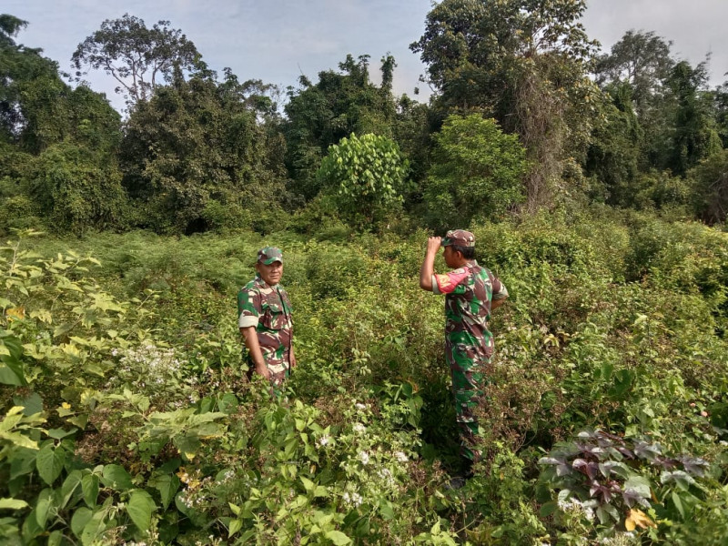 Patroli Rutin Babinsa Koramil 06/Merbau, Upaya Pencegahan Dini Karhutla