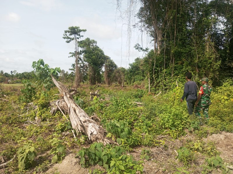 Pengawasan Lahan Gambut Ditingkatkan, Babinsa Pastikan Wilayah Bebas Karhutla