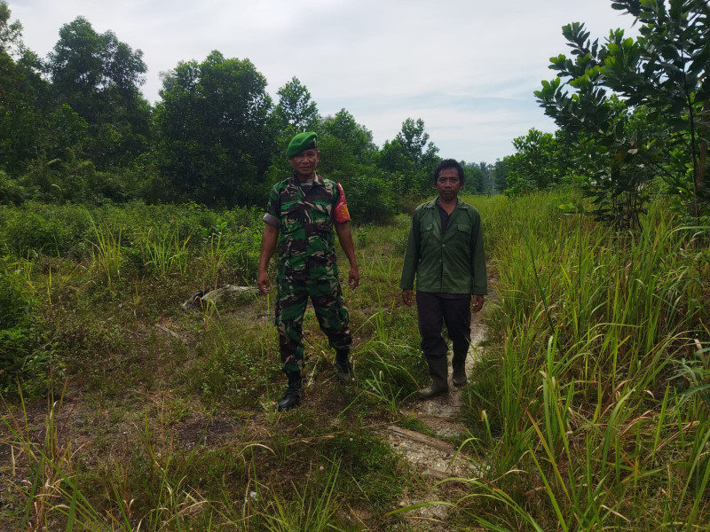Babinsa Koramil 01/Dumai Lakukan Patroli dan Sosialisasi Pencegahan Karhutla