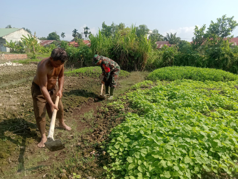 Giat Sosialisasi Tanaman Bayam oleh Babinsa Koramil-01/Dumai di RT 03 Kelurahan Mekarsari
