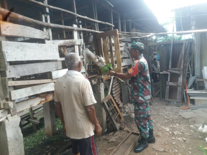 Edukasi Bagi Peternak Disampaikan Babinsa Sertu Nono