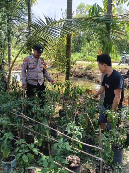 Pekarangan Pangan Bergizi di Kelurahan Ratu Sima Jadi Contoh Dukungan Program Nasional Ketahanan Pangan